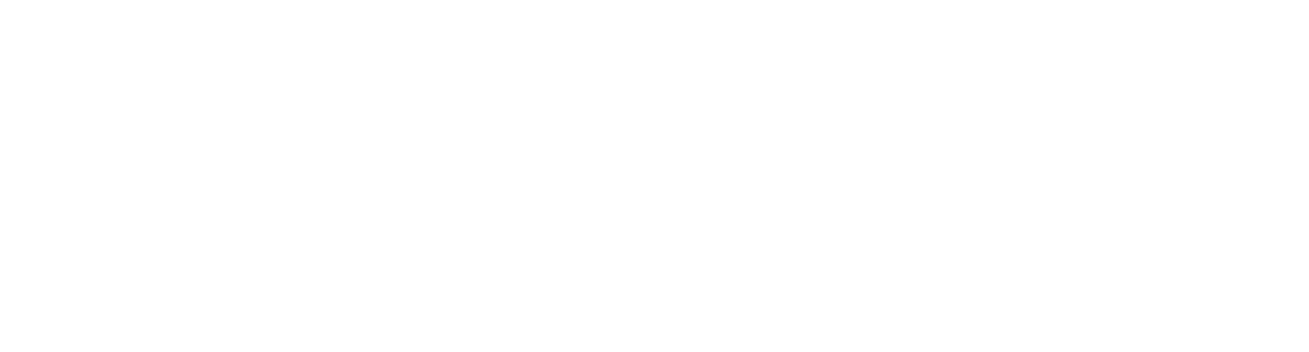 NANO MATRIX LIMITED — Precision code. Powerful solutions.